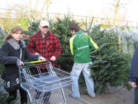 Christmas tree shoppers